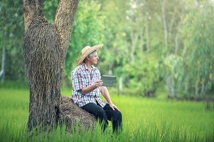 man wearing jeans, light-colored plaid short-sleeved shirt, and big straw hat holding tablet while sitting on a rock by a tree in a green field with more trees in the background.