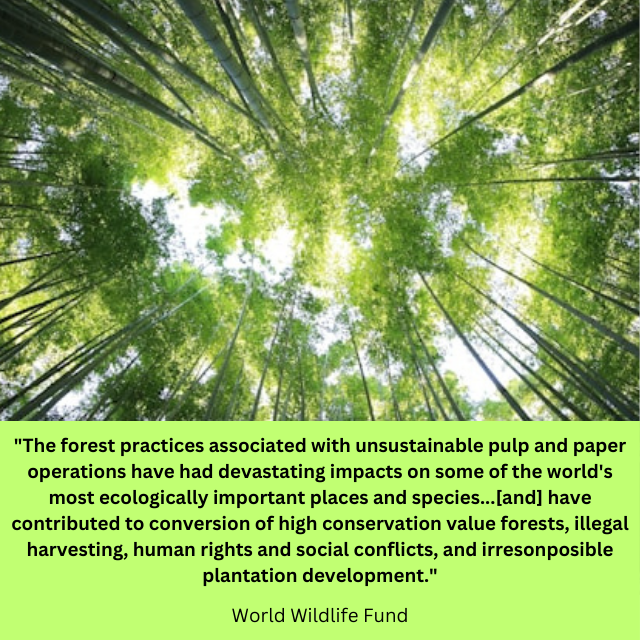Tops of tall trees in a forest. Quote reads, ""The forest practices associated with unsustainable pulp and paper operations have had devastating impacts on some of the world's most ecologically important places and species...[and] have contributed to conversion of high conservation value forests, illegal harvesting, human rights and social conflicts, and irresonposible plantation development. -World Wildlife Fund."
