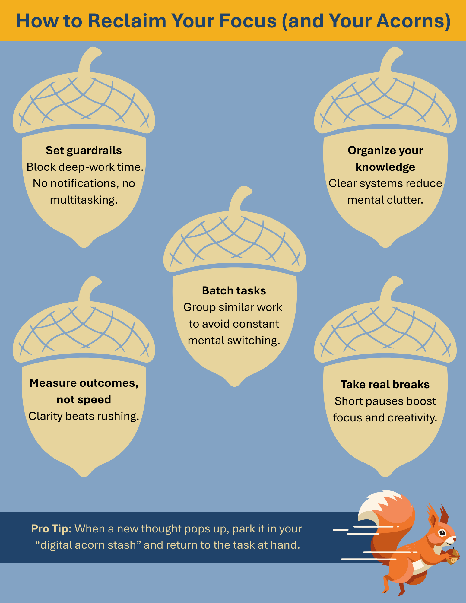 Infographic showing a squirrel and acorns. Text is a shorter version of what’s below.