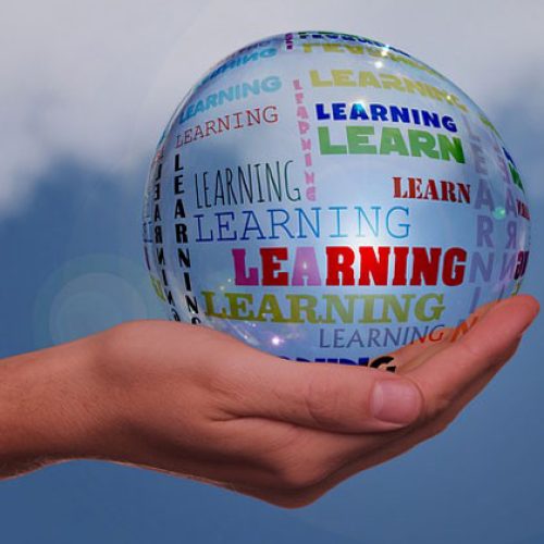 Covid-19 Restrictions Allowed L&D Leaders to Implement Significant Changes to Training Programs