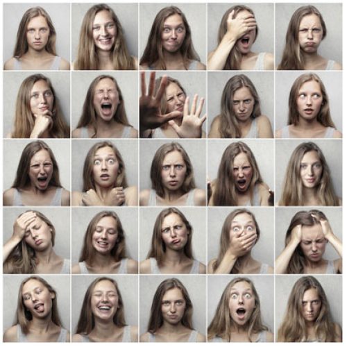 What Myers-Briggs Personality Types Make the Best Technical Writers?