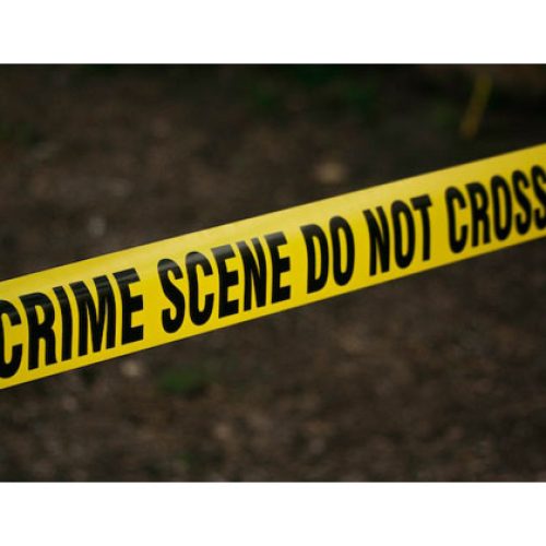 The Murder of the English Language