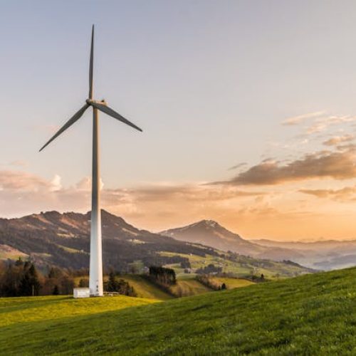 Why Green is the New Gold Standard in Employee Training